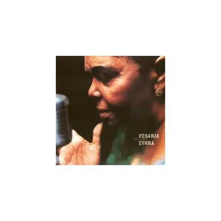 Cesaria Evora - Voz D'amor [CD]