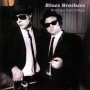 Blues Brother - Briefcase full of blues [CD]