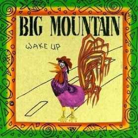 Big Mountain - Wake Up [CD]