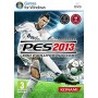 PES 2013 [PC]