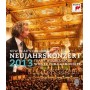 Concierto de Año Nuevo 2013 [DVD]