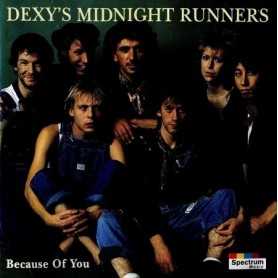 Dexy's Midnight Runners - Because of you [CD]