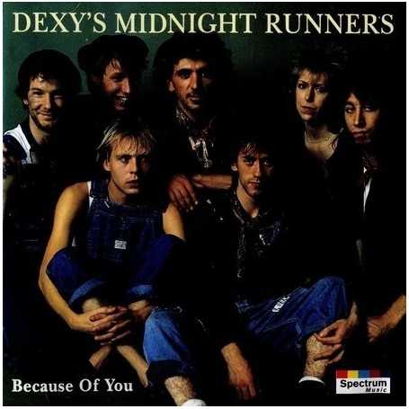 Dexy's Midnight Runners - Because of you [CD]