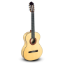 Paco Castillo 213F [Guitarra Flamenca]