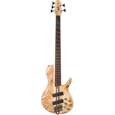 Cort A5 PLUS SCMS OPN W/CASE