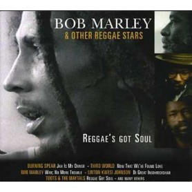 Reggae'S Got Soul [CD]