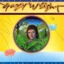 Gary Wright - The light of smiles [Vinilo]