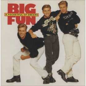 Big fun - A pocketful of dreams [Vinilo]