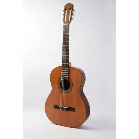 Raimundo 104B pino [Guitarra Clásica]