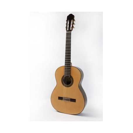 Raimundo 128 cedro [Guitarra Clásica]
