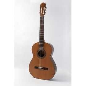 Raimundo 123 cedro [Guitarra Clásica]