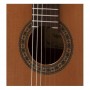 Raimundo 123 cedro [Guitarra Clásica]