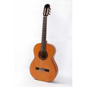 Raimundo 126 pino naranja [Guitarra Flamenca]