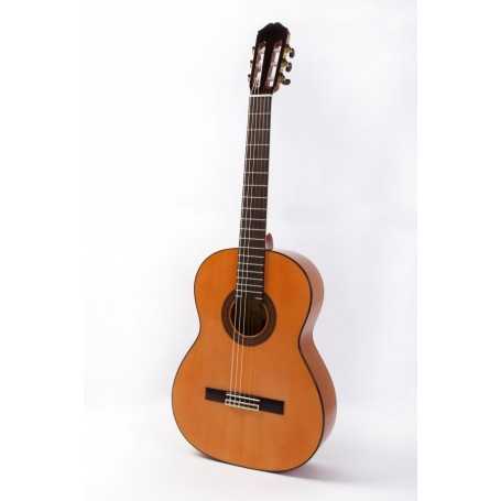 Raimundo 126 pino naranja [Guitarra Flamenca]