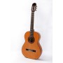 Raimundo 126 pino naranja [Guitarra Flamenca]
