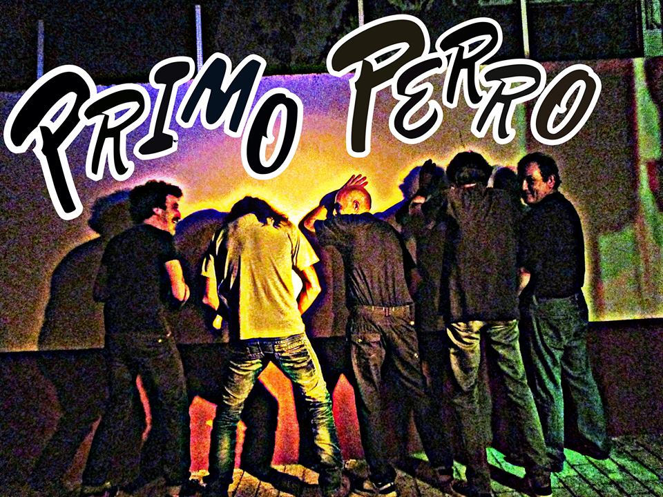 Primo Perro Entra al Estudio